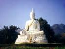 Buddah.jpg (27933 Byte)