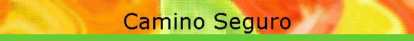 Camino Seguro